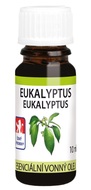 Olej vonný 10 ml - Eukalyptus