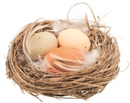 Hniezdo s vajcami 7 cm