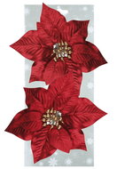 18241 Poinsettie červen&aacute; 17 cm, 2 ks, na klipu-1