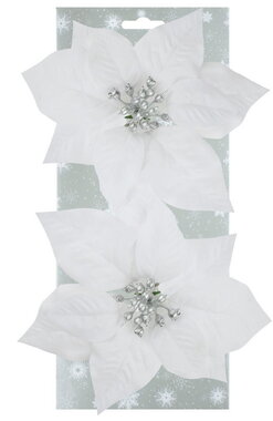 Poinsettie biela o 17 x 3 cm, 2 ks na klipe