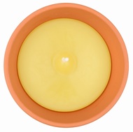 20041 Citronela, zahradní svíčka v keramické misce, 80 g-4