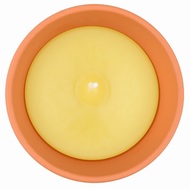 20041 Citronela, zahradní svíčka v keramické misce, 80 g-4
