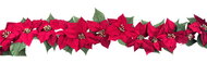 Girlanda vianočné hviezdy 180 x 10 x10 cm