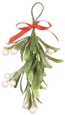Vetvička imelo 20 cm