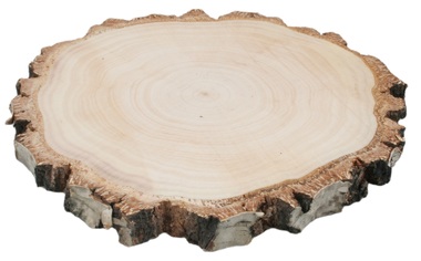 Obojstranne vyhladený plátok z brezového dreva 18 - 20 cm