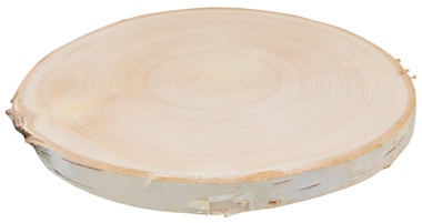 Obojstranne vyhladený plátok z brezového dreva 18 - 20 cm