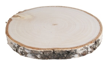 Obojstranne vyhladený plátok z brezového dreva 14 - 16 cm