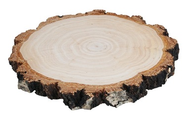 Obojstranne vyhladený plátok z brezového dreva 14-16 cm