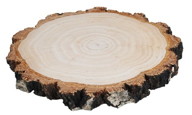 Obojstranne vyhladený plátok z brezového dreva 16-18 cm