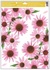 Okenná fólia - 3. ECHINACEA