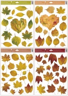 Okenná fólia 30x42 cm prírodné jesenné listy