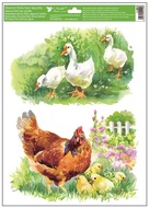 Okenná fólia - 3. SLIEPOČKA