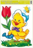 1. KURA S TULIPÁNOM
