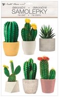 10481 Samolepka na zeď plastická 3D kaktusy 29 x 49 cm -1
