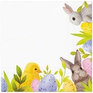 13247 Pap&iacute;rov&eacute; ubrousky tř&iacute;vrstv&eacute; 33 x 33 cm, 20 ks-1