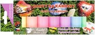 6129 Barvy na kam&iacute;nky akrylov&eacute; pastelov&eacute; mat 7 x 15 g-1