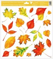 Okenná fólia – Listy