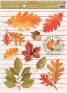 Okenná fólia – Listy