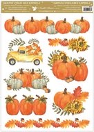 Okenná fólia – S autom