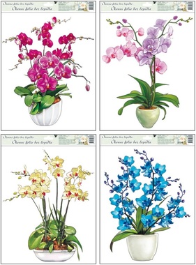 Okenné fólie Orchidey 38 x 30 cm